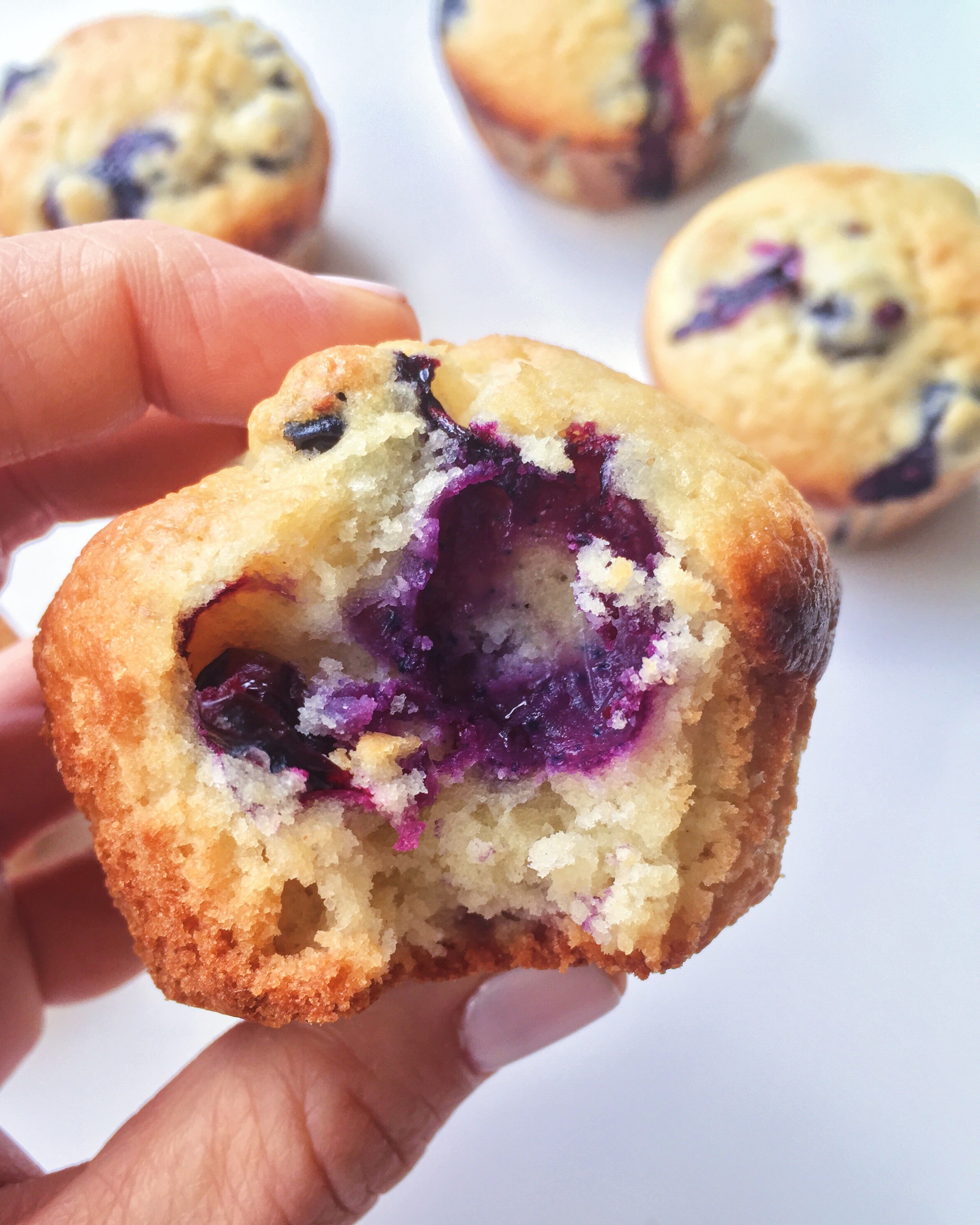 Gluten-Free Blueberry Yogurt Muffins!